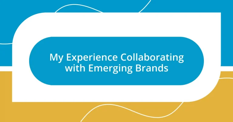 My Experience Collaborating with Emerging Brands